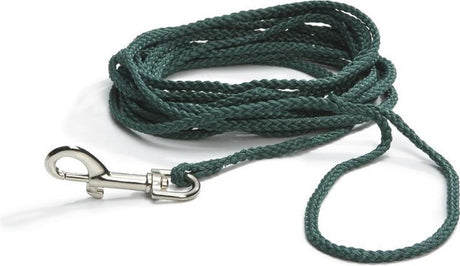 Beeztees Suchleine – Hundeleine – Nylon – Grün – 10 m