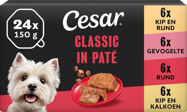 Cesar Hundefutter – klassische Mischung in Pastete – Dosen – 24 x 150 g