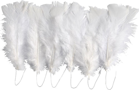 Kreativunternehmen https: www.cchobby.nl Feathers-Size-11-17-cm-White-18-Ball-1-Doos