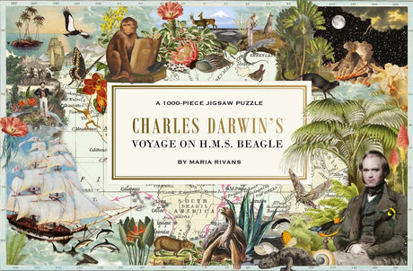 The voyage of hms beagle