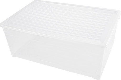 Curver Textilbox - 45l - Kunststoff - transparent