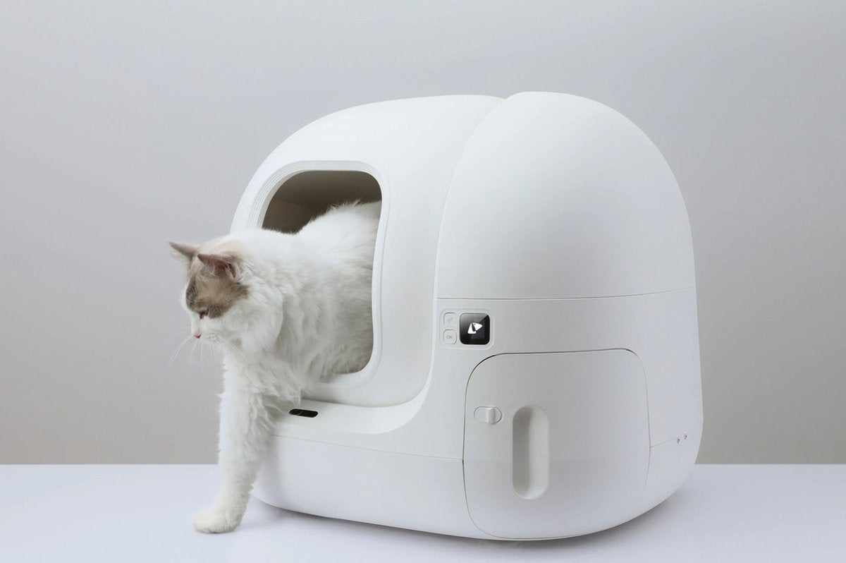 Petkit Pura Max Katzen kleines Klo