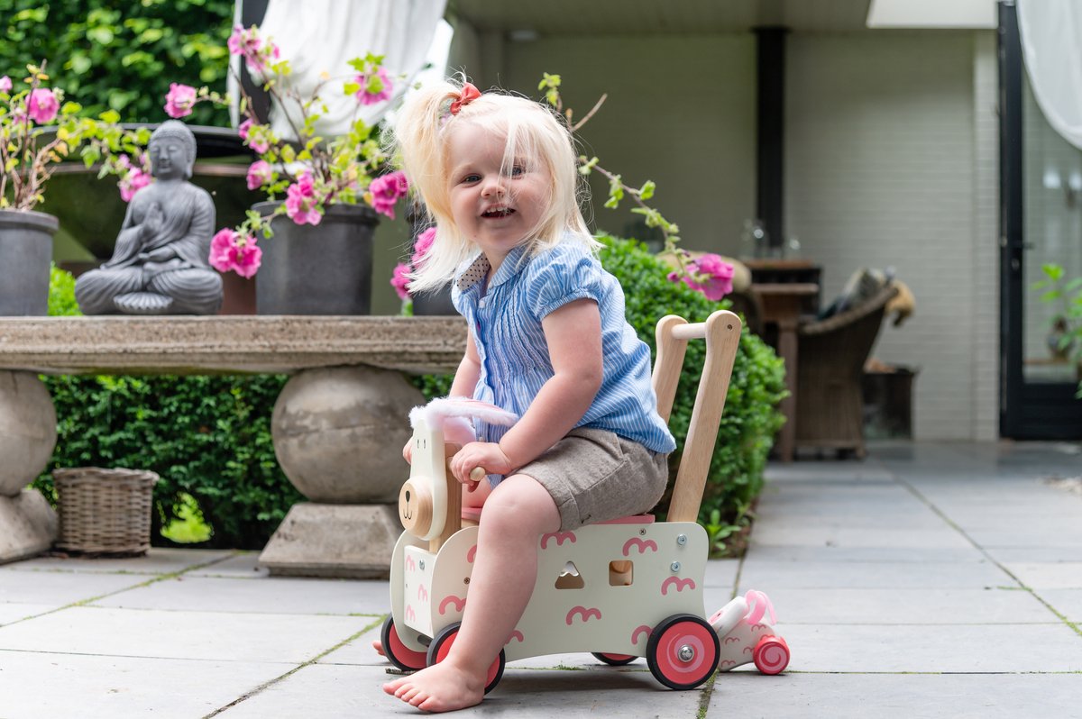Lauf- und Sortierwagen für Kaninchen
