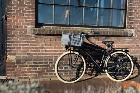 Fastrider fietskrat medium grijs