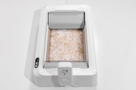 Petkit – Urinmonitor-Kristallstreu-Set – pH-Erkennung – 4 Packungen – Tiergesundheit – Katzentoilette