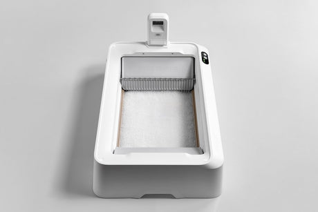 Petkit – Purobot Crystal Duo mit Kamera – automatische Katzentoilette – KI-Kamera – Tiergesundheit
