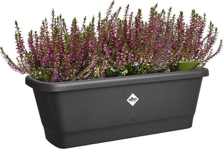 Elho noa balkonbak m - balkonbak voor buiten - waterreservoir - 100% gerecycled plastic - l52 x b20 x h17.8 cm - living black