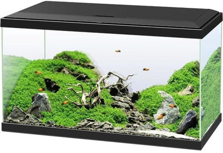 Ciano – Emotionen Pro 60 – Aquarium-Set – CF80-Filter