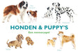 Megableu honden puppy's