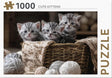 Rebo puzzel - cute kittens - 1000 stukjes - dieren thema - vanaf 12 jaar