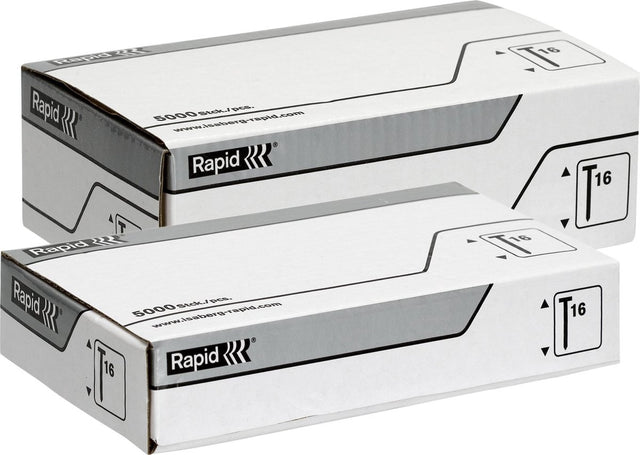 Rapid gegalvaniseerde nagels - kleine kop - scherpe punt - 8 25 mm - 5000 stuks