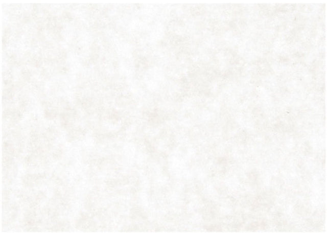 Creativ Company Kraftpapier – weißes Kraft-Zeichenpapier und Bastelkarton – weißes Recycling-Hobbypapier – Hobby-Kraftkarton – weißes Papier für kreatives Zeichnen, Schreiben, Scrapbooking – A2 – 100 Gramm – 500 Blatt