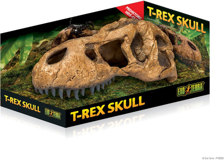 Exo terra - terrariumgrot - reptielen - t-rex skull fossiele schuilplaats 14.5x25.5x12.5cm - 1st