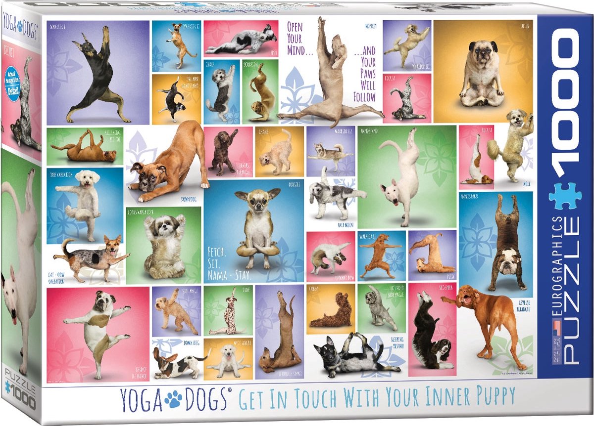 Eurographics – Yoga-Hunde [Yoga-Hunde] – 1000 Teile 68×48 cm (B×H) – Puzzle