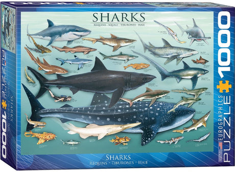 Eurographics - Haie [Haie] - 1000 Teile 68×48cm (B×H) – Puzzle