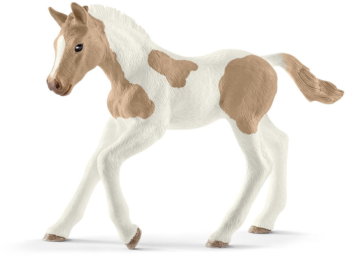 Schleich 13886 Lackfohlen | 5 Stück