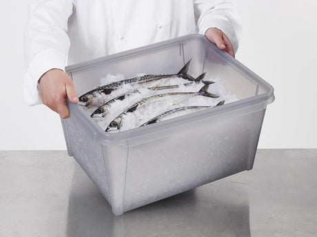 SmartStore Dry 31 Storage Box 33 Liter Polypropylengrau