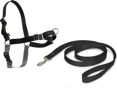 Petsafe easy walk® - Hundegeschirr - Schwarz - M - 51-71 cm