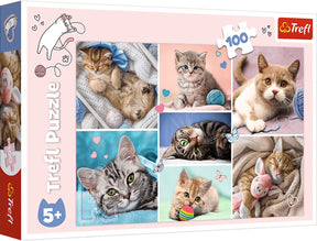 Trefl legpuzzel kattenwereld 100 stukjes karton kleurrijk.