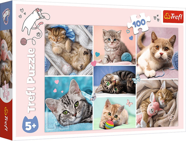 Trefl legpuzzel kattenwereld 100 stukjes karton kleurrijk.