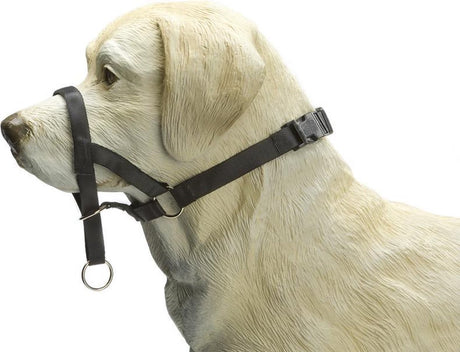 Beeztees dog control - halsband hond - zwart - l