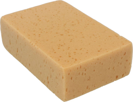Protecton Schwamm 18 x 12 x 6 cm Gelb