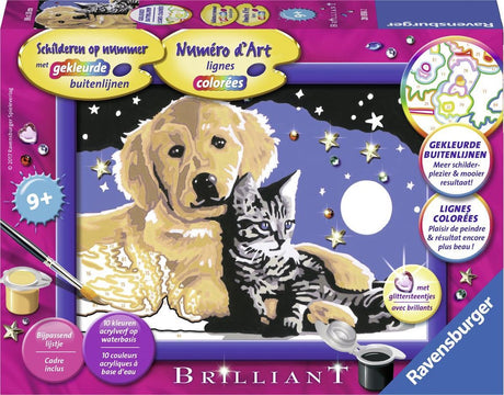 Ravensburger Malen nach Zahlen schöner Sternenhimmel