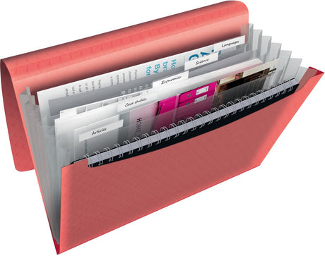 Esselte Colour'breeze A4 erweiterbarer Projektordner – Organizer mit 5 Registern und 6 Fächern – Koralle