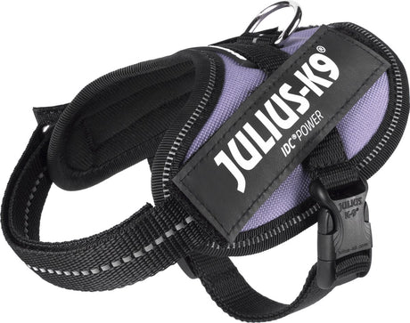 Julius k9 julius-k9 idc®powertuig, 2xs - baby2, paars xxs