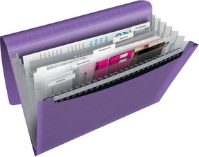 Esselte Colour'breeze A4 erweiterbarer Projektordner – Organizer mit 5 Laschen und 6 Fächern – Lavendel