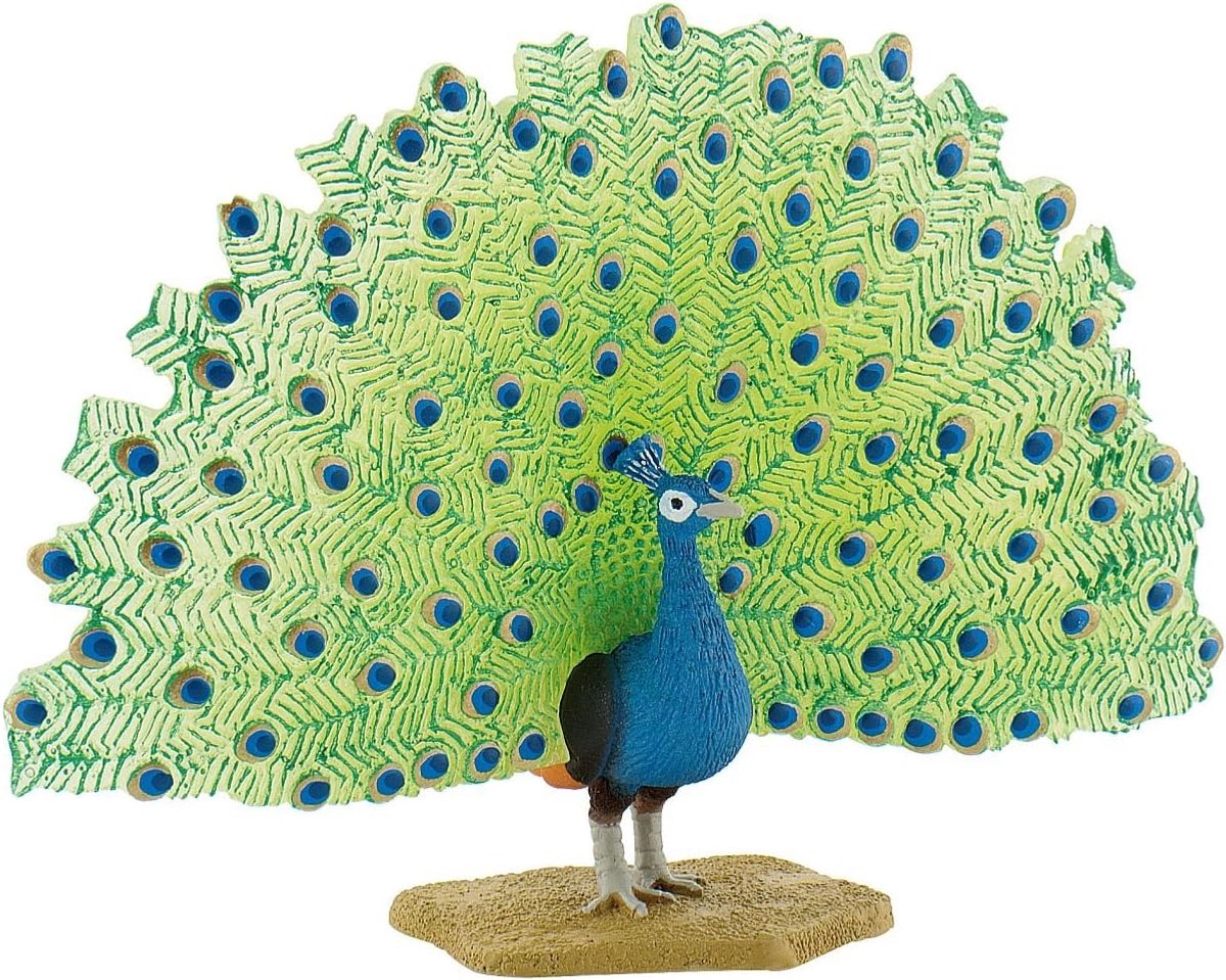 Bullyland 69390 – Spielfigur Pfau – ca. 8–10 cm – naturgetreue und detaillierte Gestaltung – ideal als lehrreiche Spielfigur, Dekoration oder kleines Geschenk für Kinder ab 3 Jahren.