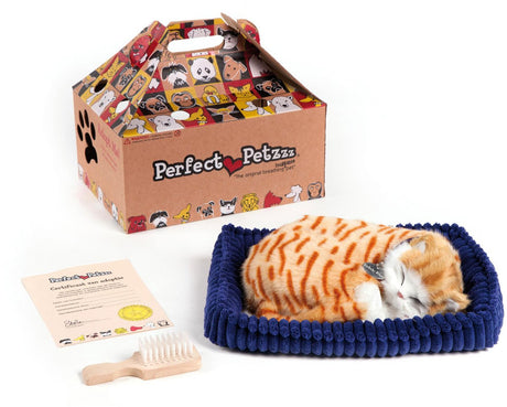Perfekter Petzzz Soft Orange Tabby