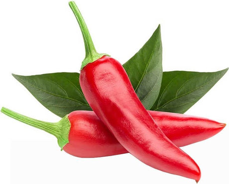 Click and Grow Click Grow Nachfüller für Chilischoten (3er-Pack)