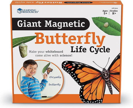 Learning resources reuze magnetische levenscyclus van een vlinder