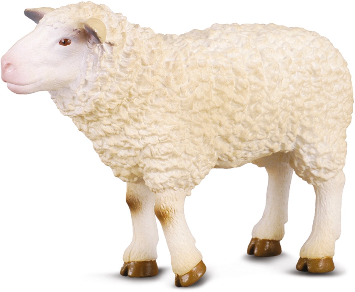 Collecta Figur - Schaf - (m) - Nutztiere - handbemalt - Miniatur