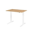 Bach Sitz-Steh-Arbeitsplatz Hammerer XMKA12 120 x 80 cm