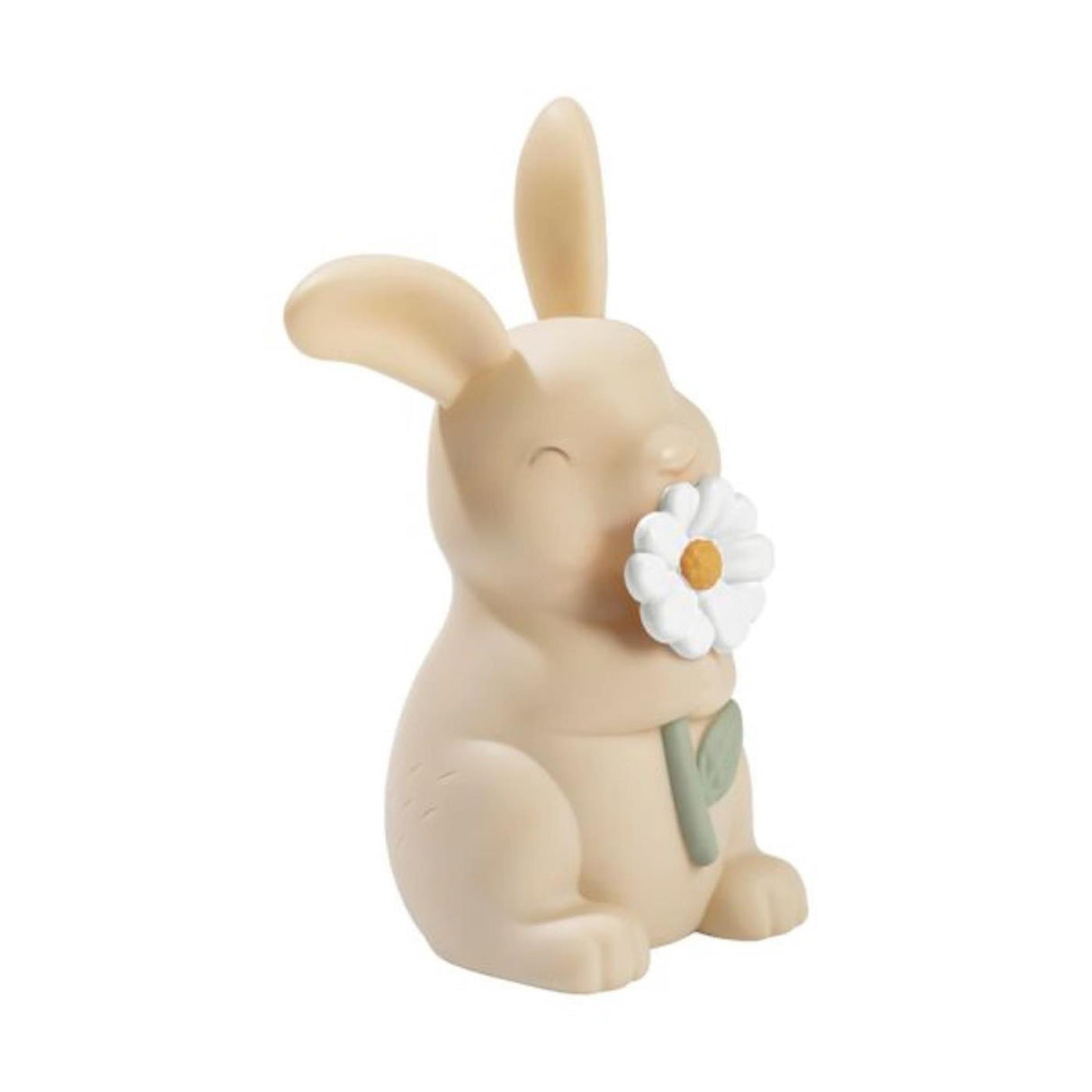 Kleines holländisches Nachtlampen-Kaninchen
