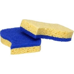 PK2 Schwamm BL GL 19321008 Spontexschale