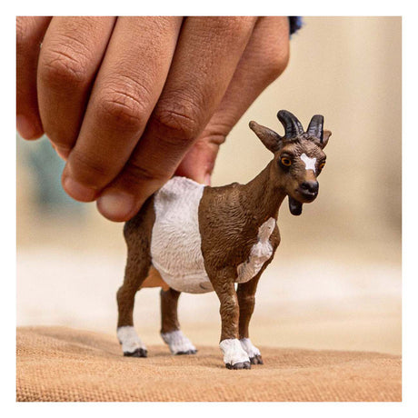 Schleich Bauernhofwelt - Ziege - 14887
