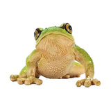 Schleich | 5 Stück