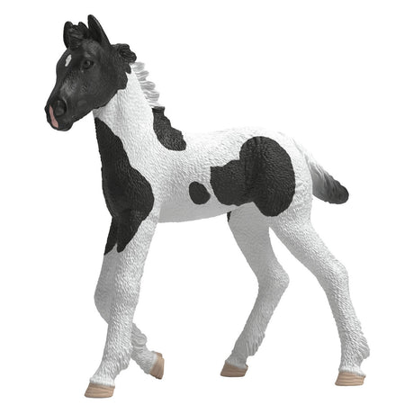 Schleich Horse Club Sammlerfohlen Rocky 81481