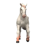 Schleich horse club knabstupper merrie 14917