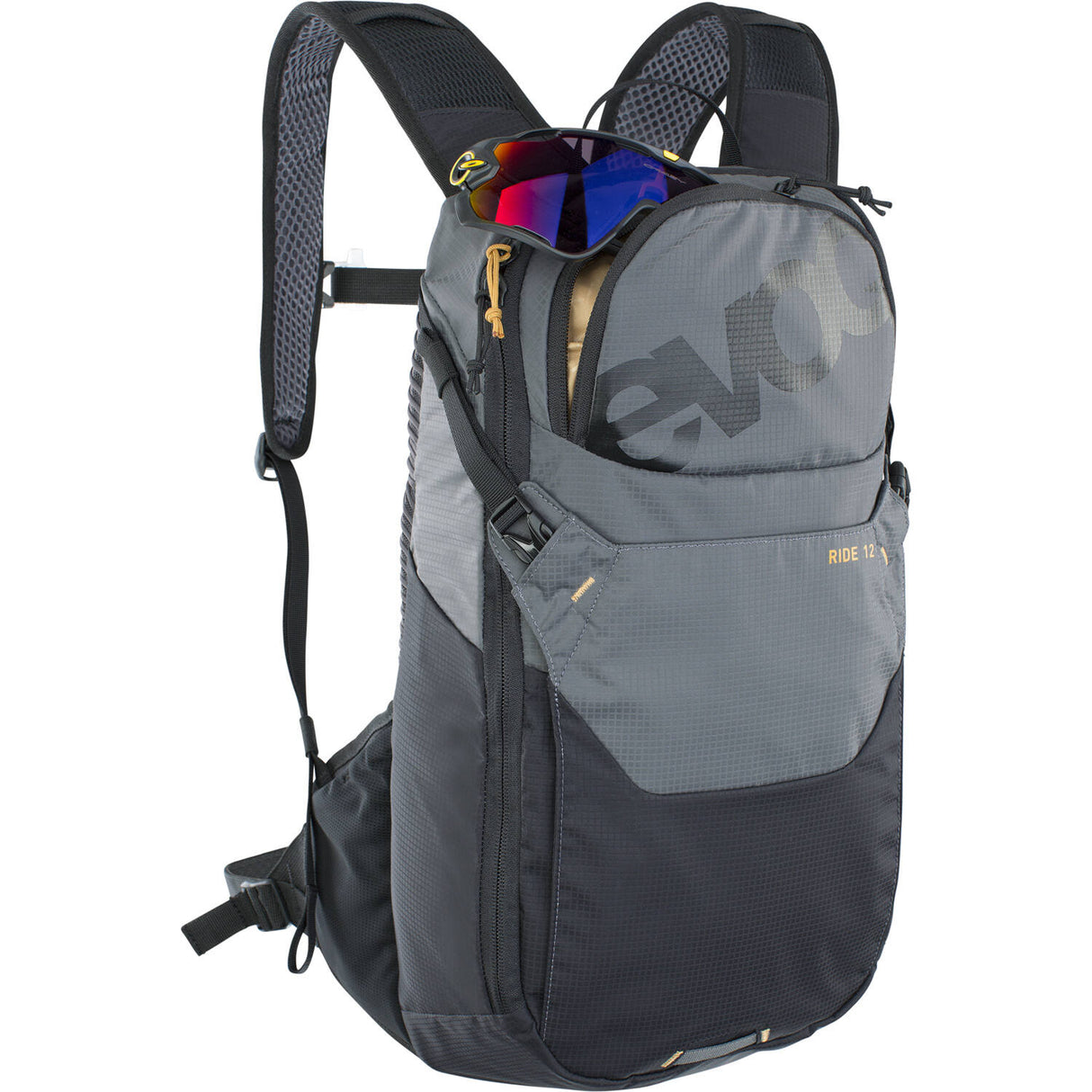 Evoc - Ride 12 + 2l Blase Carbon Grey Black One