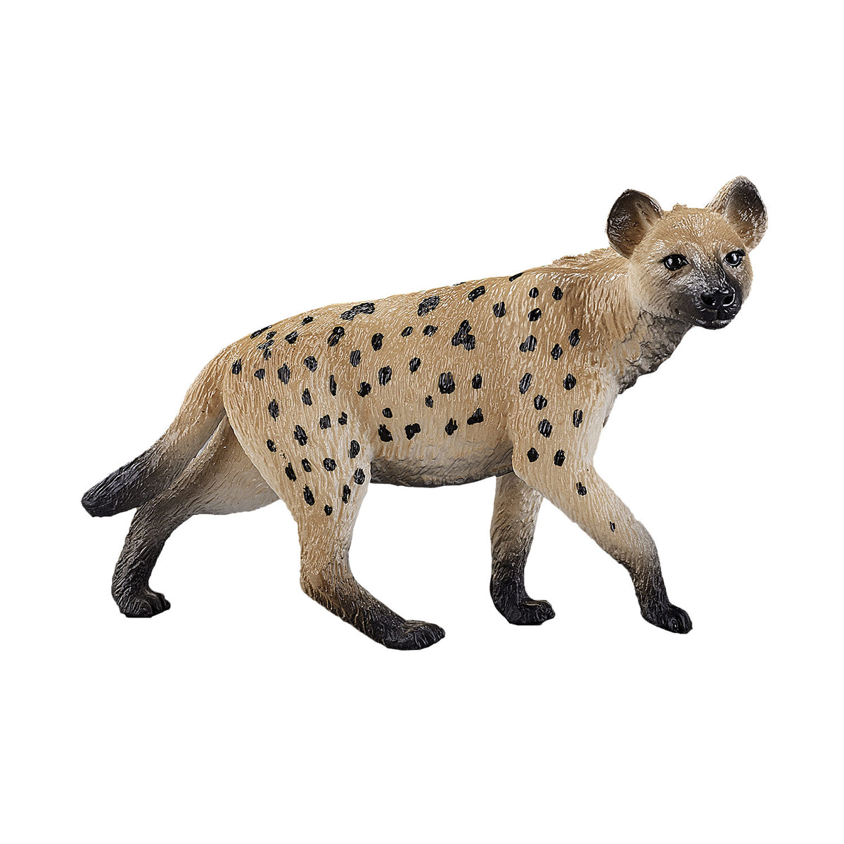 Mojo-Wildhyäne – 387089