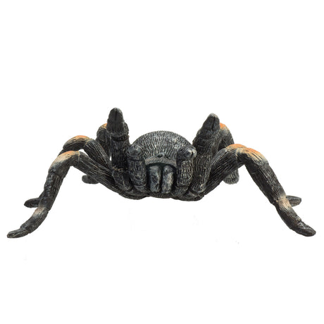 Mojo Wildlife Rote Vogelspinne – 387213