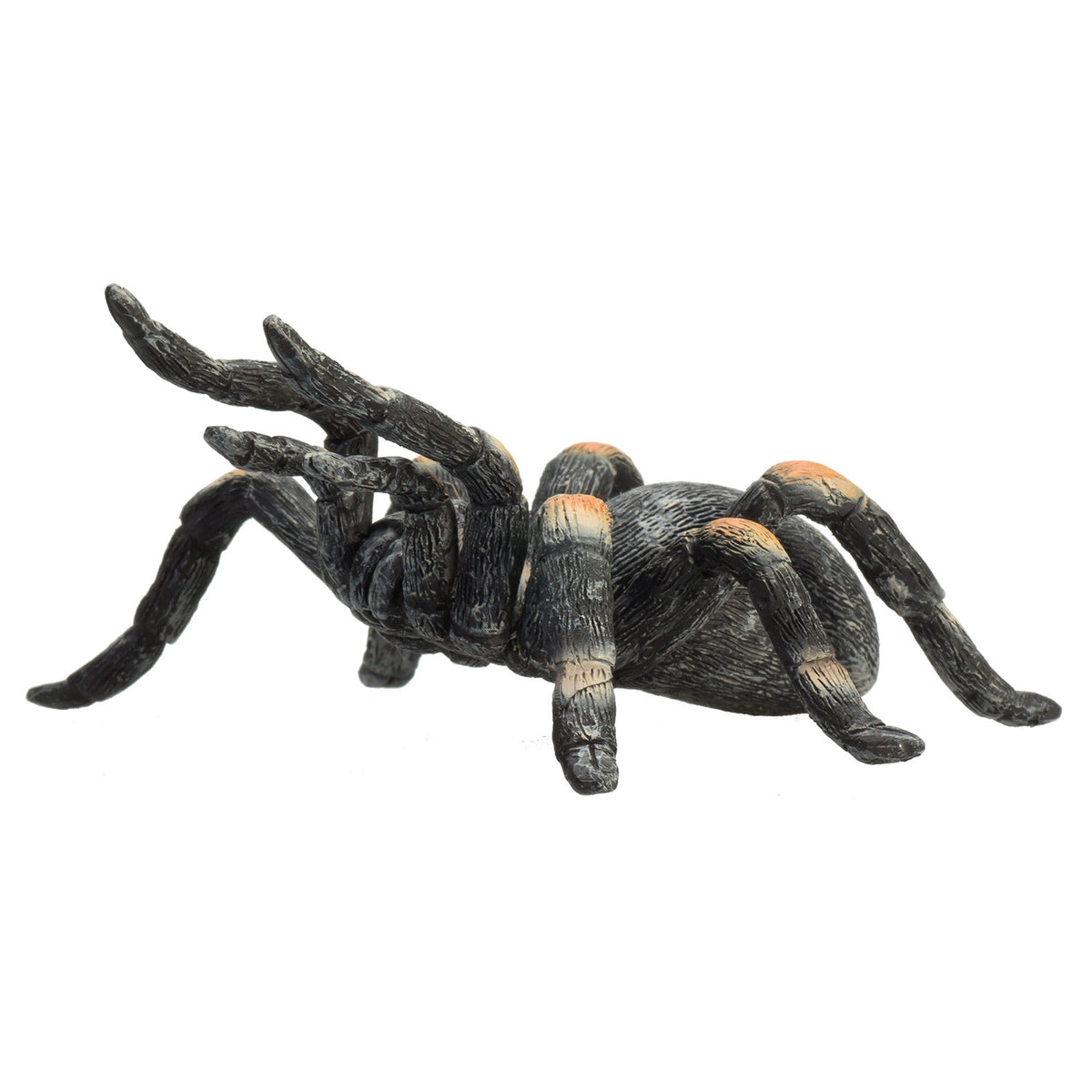 Mojo Wildlife Rote Vogelspinne – 387213