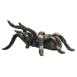 Mojo Wildlife Rote Vogelspinne – 387213