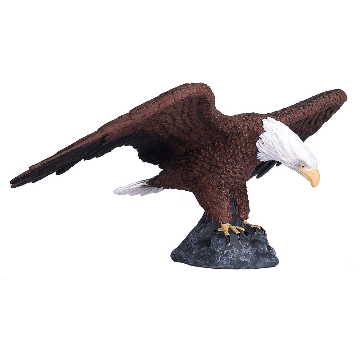 Mojo-Weißkopfseeadler – 387027