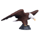 Mojo-Weißkopfseeadler – 387027