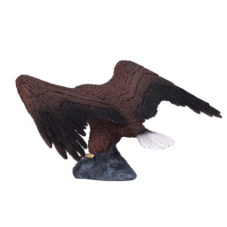 Mojo-Weißkopfseeadler – 387027